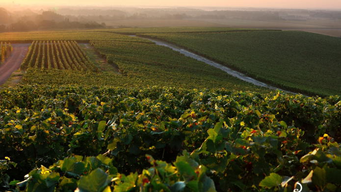 6c8bcf508068f70900db3ff0ea7a73c44348a895