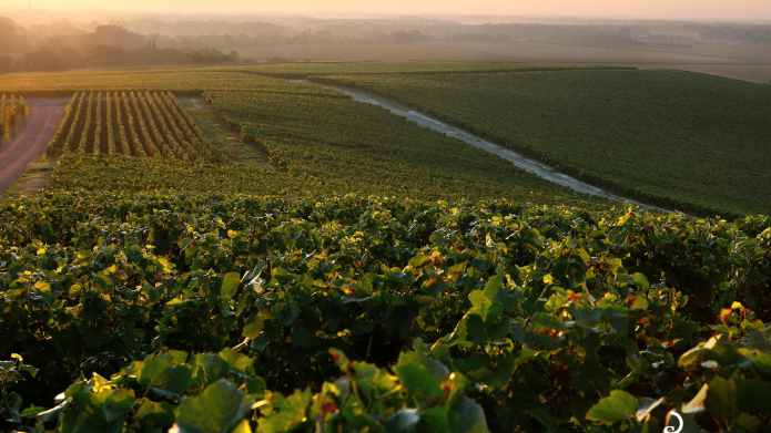 6c8bcf508068f70900db3ff0ea7a73c44348a895