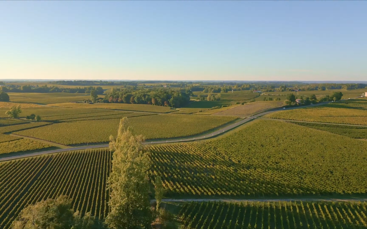 cbce82d4674070e178467e600b2efae423fe8dde