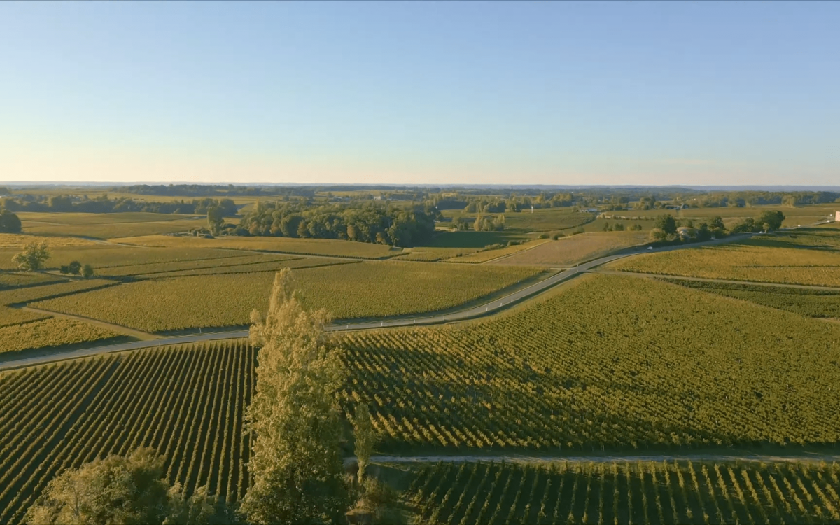 cbce82d4674070e178467e600b2efae423fe8dde