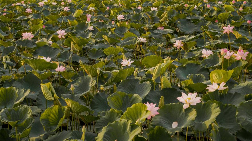 e5e864e05719f80fe52e467881ba6dd2efede25a