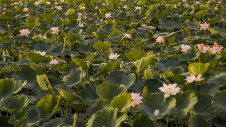 e5e864e05719f80fe52e467881ba6dd2efede25a