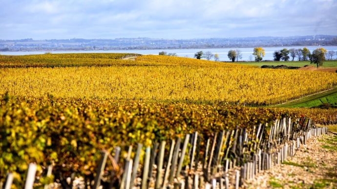 width_1000_csig=AAAAAAAAAAAAAAAAAAAAABoZQhxc_iHTQlsfCMqYt7lON30T5Ezg-fziq30BlEBZ&exp=1768333416&osig=AAAAAAAAAAAAAAAA