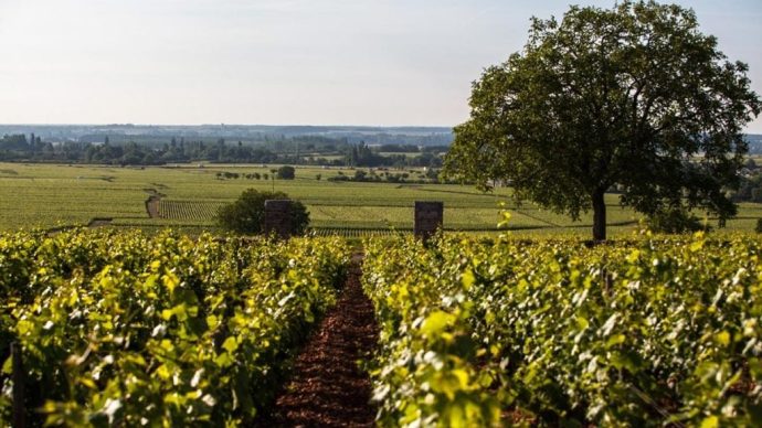 width_1024_csig=AAAAAAAAAAAAAAAAAAAAAA7F2oUmMTCaQ8_BJyP97tZPNXkHR_-BmAFp7IfrsZH5&exp=1768321421&osig=AAAAAAAA