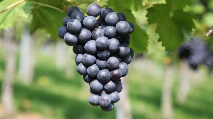 width_1280_csig=AAAAAAAAAAAAAAAAAAAAAPKfpWEmy8rA-Ot1hlg9QVNWstbHp13OmzxtEIC7Re-5&exp=1768321569&osig=AAAAAAAAAAAAAAA