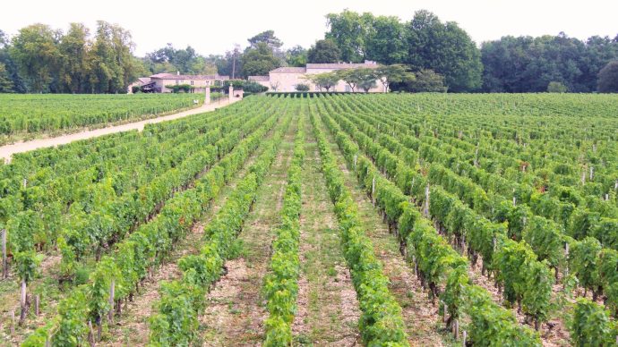 width_1600_csig=AAAAAAAAAAAAAAAAAAAAAB_JyEGiHFQZO-TiaHIEssJ-lgSUKibjP8xQ6PP4HmB3&exp=1768333288&osig=AAAAAAAAAA