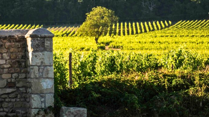 width_1600_csig=AAAAAAAAAAAAAAAAAAAAAEtGHx-AaQAW3F9WYLXqISdZmZxILLDXz67ayrQqRTfP&exp=1768322085&osig=AAAAAAAAAAAAAAA