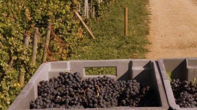 width_512_csig=AAAAAAAAAAAAAAAAAAAAAKX4AyEuo7D4h0YpF0hKzO3CcepTc-TpyXIJ9DhmNpRw&exp=1768322557&osig=AAAAAAAAAAAAAAAA