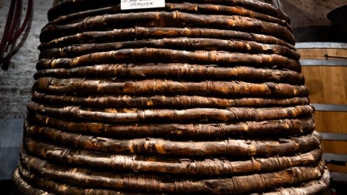 width_569_csig=AAAAAAAAAAAAAAAAAAAAAFAqS3XjLyKM4mtoDaWodT5N5LzjICETH5GmaO6V5tiw&exp=1768319782&osig=AAAAAAAAAAAAAAAAAAAAAOkjERW