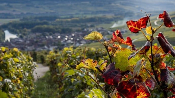 width_684_csig=AAAAAAAAAAAAAAAAAAAAAKJObNAgdpNYT01vdKEWiXBuqUueWL2u0JepmBr7GxPl&exp=1768322345&osig=AAAAAAAAAAAAAA