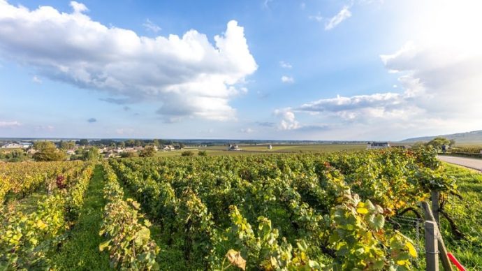 width_800_csig=AAAAAAAAAAAAAAAAAAAAAE6ZBt0ZsV7SBqMd4UrS2KdeJgINdERRIf7OB2Jw96xi&exp=1768320139&osig=AAAAAAAAAAAAAAAA