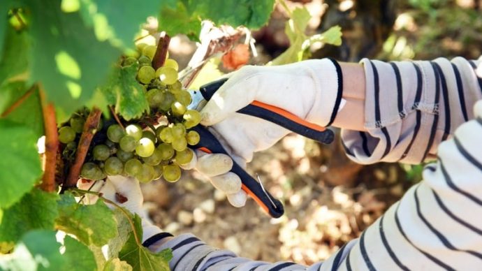 width_800_csig=AAAAAAAAAAAAAAAAAAAAAHmMvz5eiGiYaAGbKSnxVImwGB90I2ff6v-tOm4KCW3u&exp=1768322991&osig=AAAAAAAA