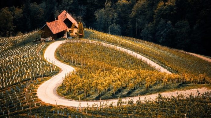 width_800_csig=AAAAAAAAAAAAAAAAAAAAALdugpYmtcSxlcEZUPHKUlthKPDoLXFEo6V5tgIPtjvC&exp=1768331940&osig=AAAAAAAAAAAAAAAAAAAAAE