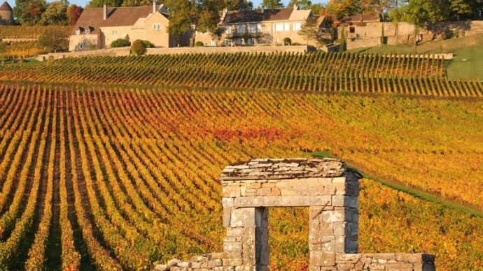 width_800_csig=AAAAAAAAAAAAAAAAAAAAAOtcetR8mtg3oTRxmOdjZP83emkaBOkR6BEpJ3dL999F&exp=1768322626&osig=AAAAAAAAAAAAAAAA