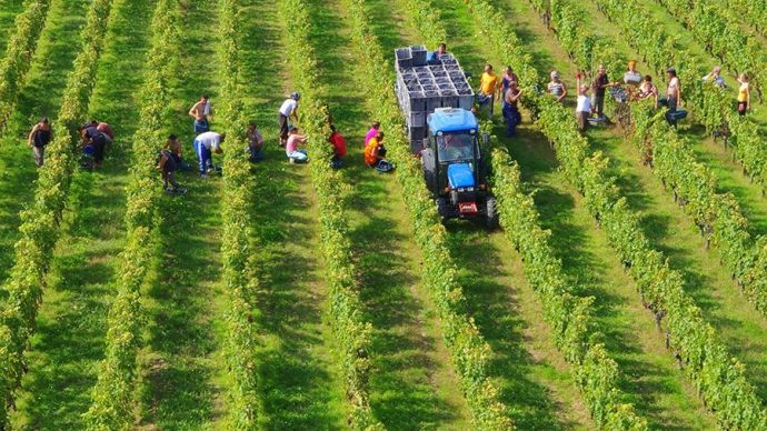 width_900_csig=AAAAAAAAAAAAAAAAAAAAABf4N5kClUsADLdBbSR9k4OVB2QkLc6ZLAsYKEnRaSfk&exp=1768323654&osig=AAAAAAAAAAA