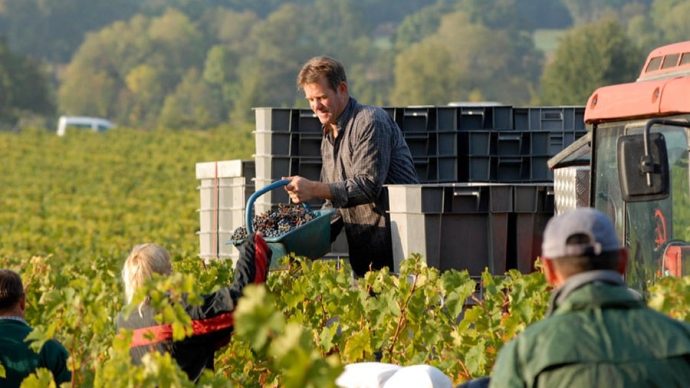 width_900_csig=AAAAAAAAAAAAAAAAAAAAAPntYmH_GkHF_Ul0pun6x14UYl1BcAXjAJlK3dEFQ3qT&exp=1768324680&osig=AAAAAAAAAAA